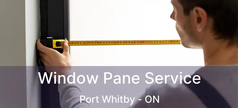  Window Pane Service Port Whitby - ON