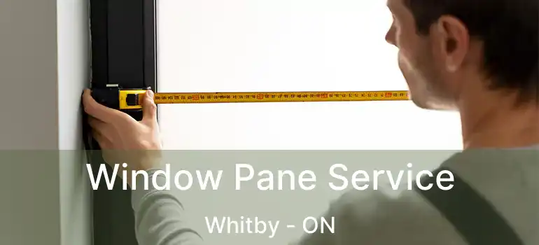 Window Pane Service Whitby - ON