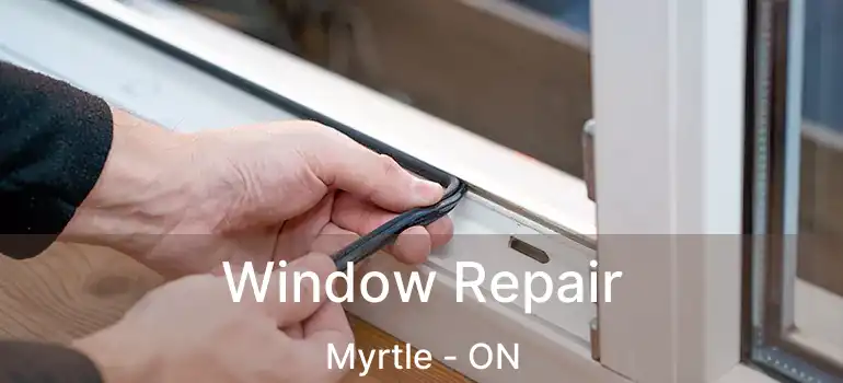  Window Repair Myrtle - ON