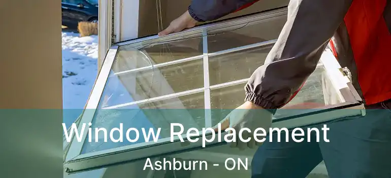  Window Replacement Ashburn - ON