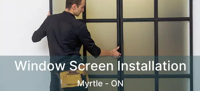  Window Screen Installation Myrtle - ON