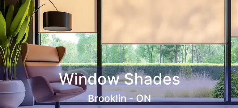  Window Shades Brooklin - ON