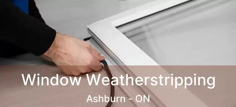  Window Weatherstripping Ashburn - ON