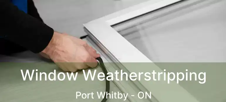  Window Weatherstripping Port Whitby - ON