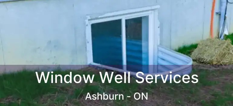  Window Well Services Ashburn - ON