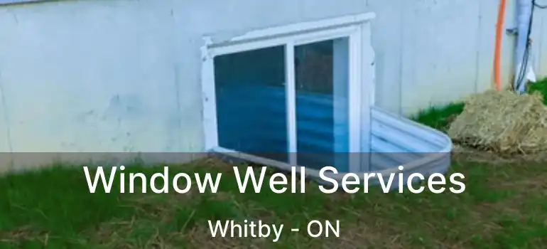  Window Well Services Whitby - ON