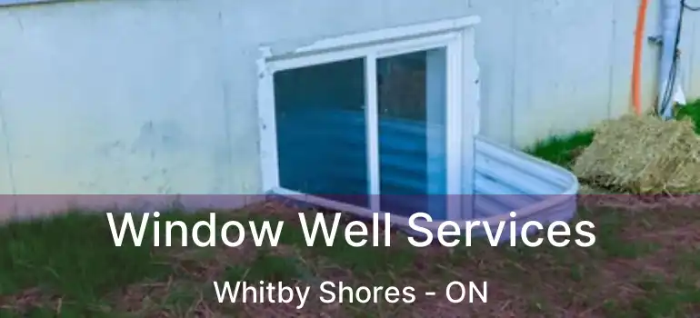  Window Well Services Whitby Shores - ON